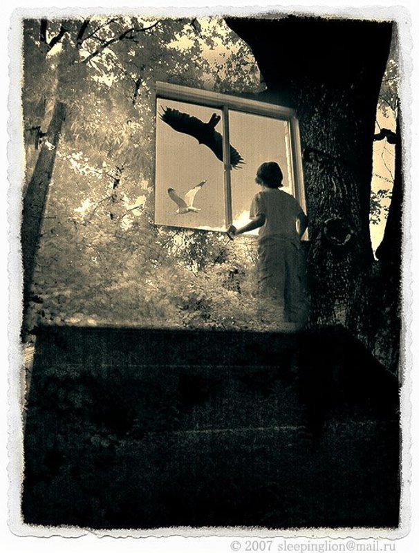 коллаж, монтаж, collage, montage, pilgrim Spectator фото превью