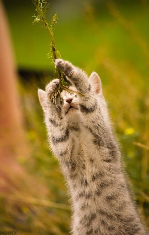 Ловим момент фото превью