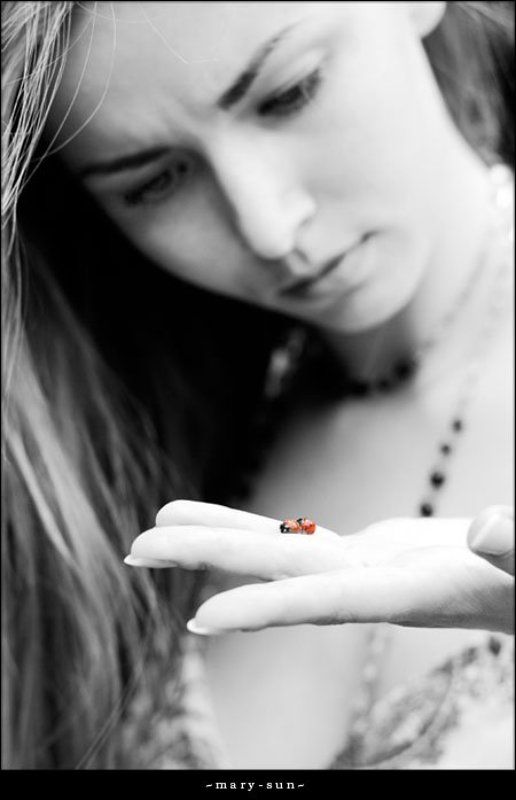 божья коровка что это? или еще раз о любви :) фото превью