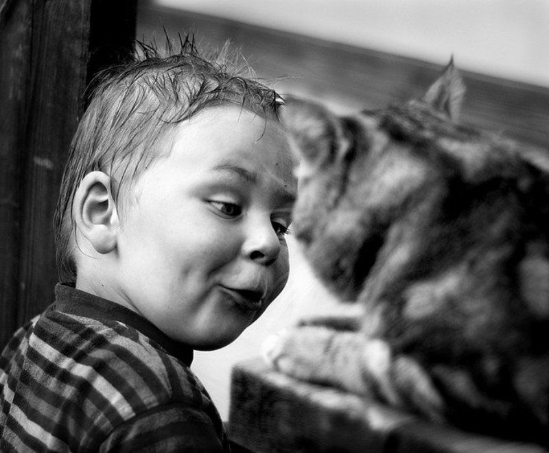 =) *** фото превью