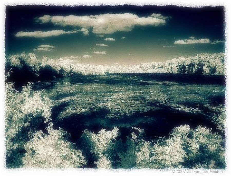 ик, infrared, инфракрасный, инфракрасное, pilgrim, Pilgrim