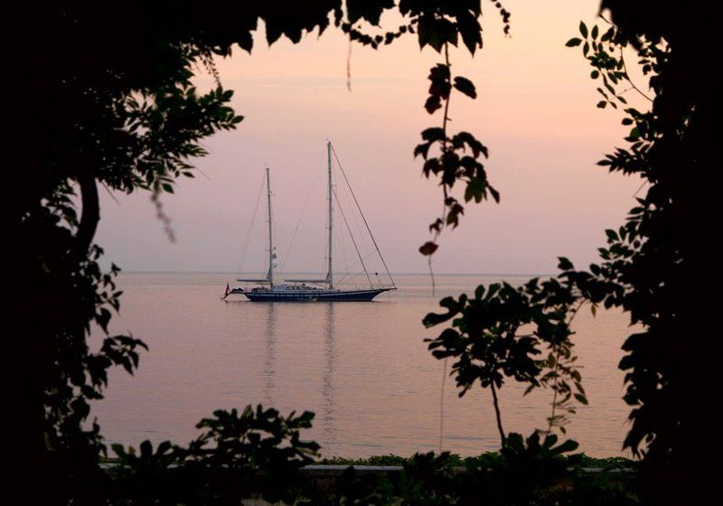 Мечта в розовых тонах фото превью