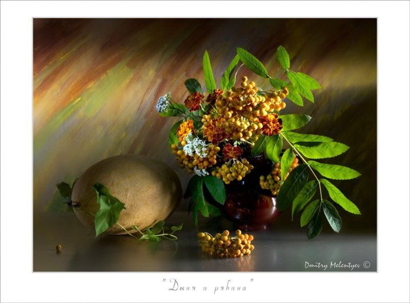 рябина дыня цветы натюрморт still-life Дыня и рябина фото превью