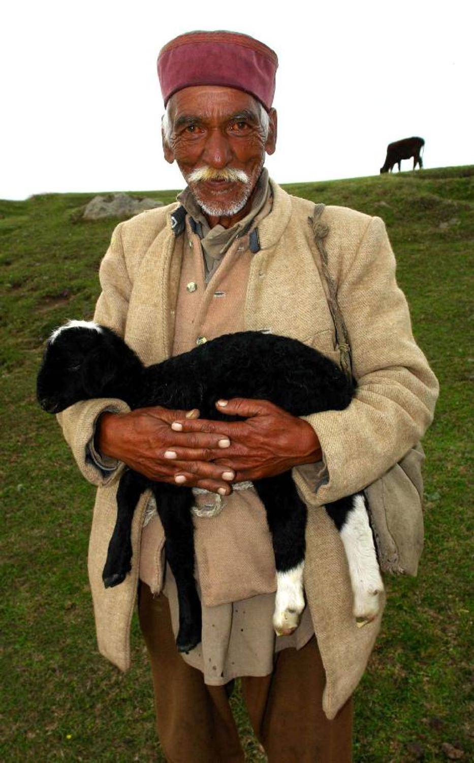 старик ягнёнок портрет жанр гималаи, DimON