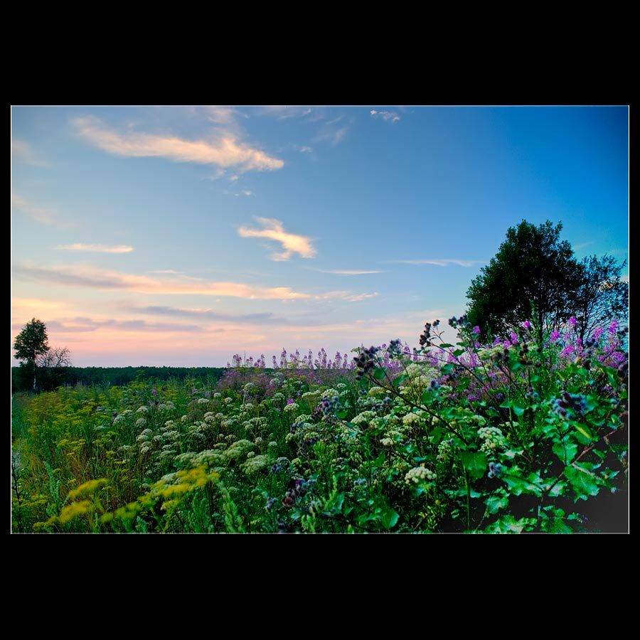 , Дмитрий Милосердов