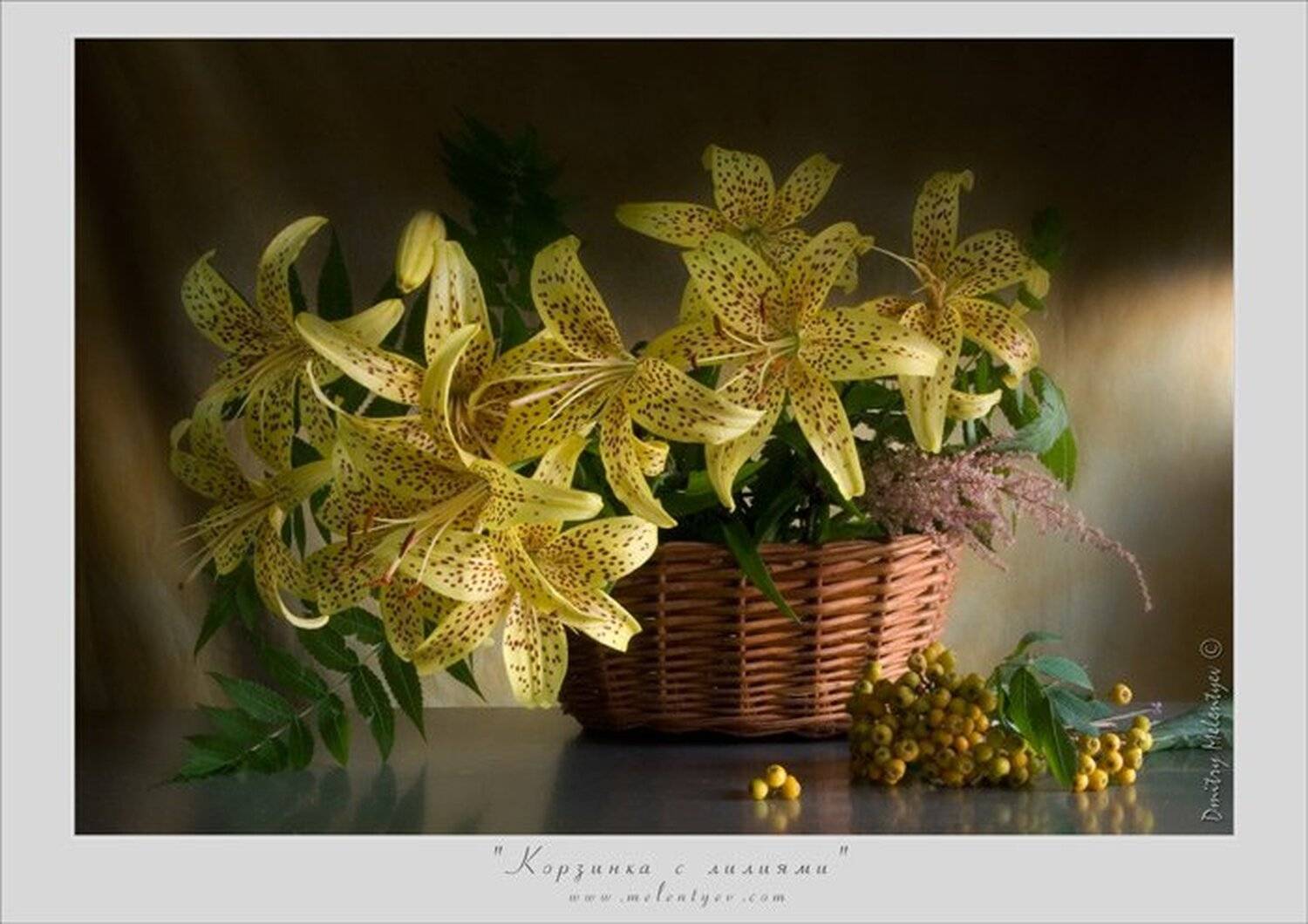 цветы лилии  букет натюрморт still life, Dmitry Melentyev