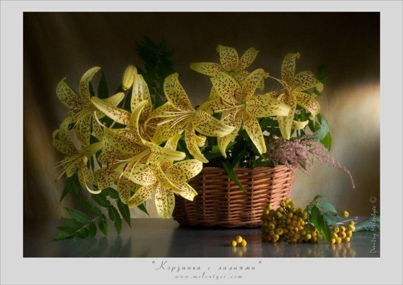цветы лилии  букет натюрморт still life Корзинка с лилиями фото превью