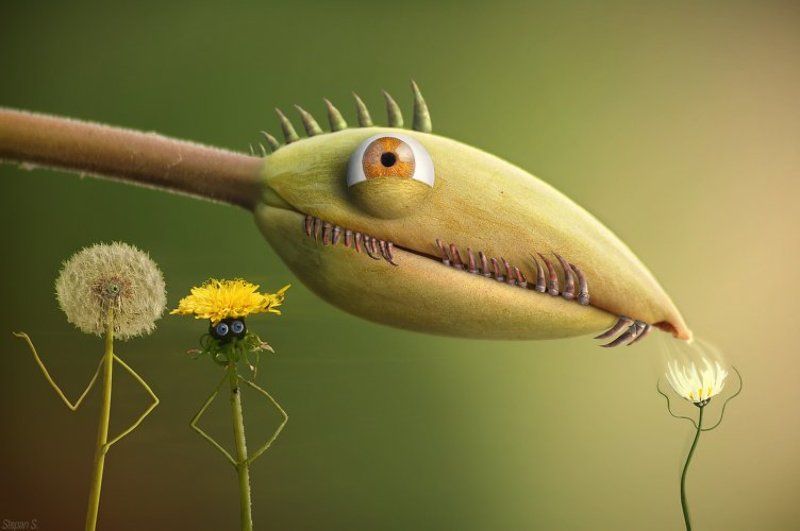 ...и почему он ее выбрал? фото превью