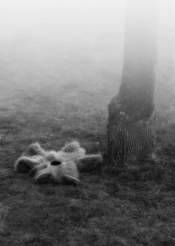 медведь пчелы винни-пух мед это были неправильные пчелы фото превью