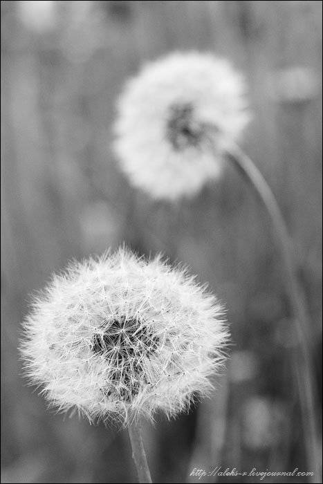 мурманск, Александр Рогачёв