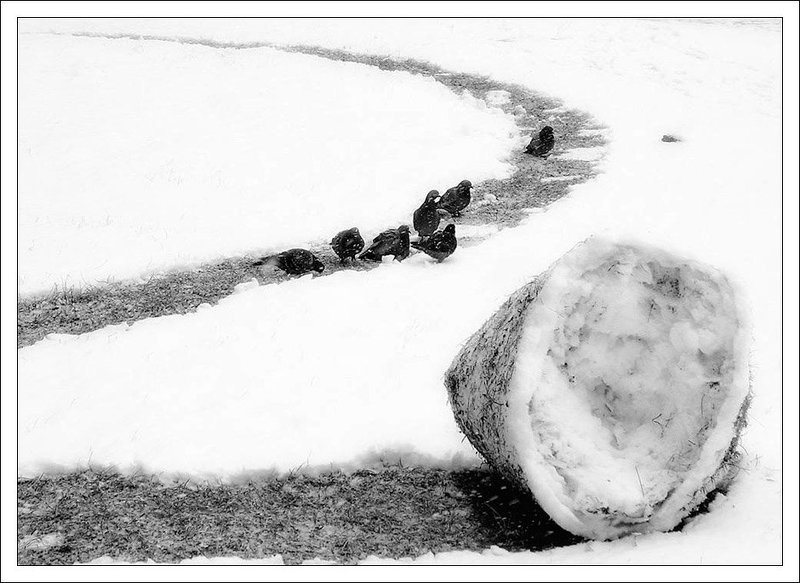 Весне дорогу... фото превью