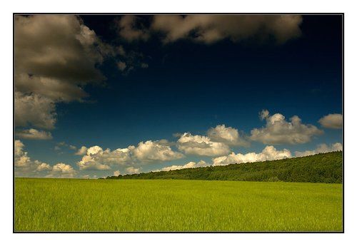 О линиях в пейзаже
