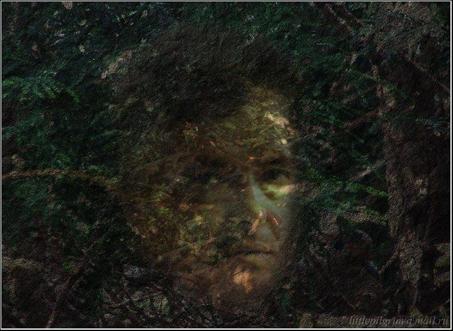 коллаж, монтаж, collage, montage, little pilgrim, Little Pilgrim