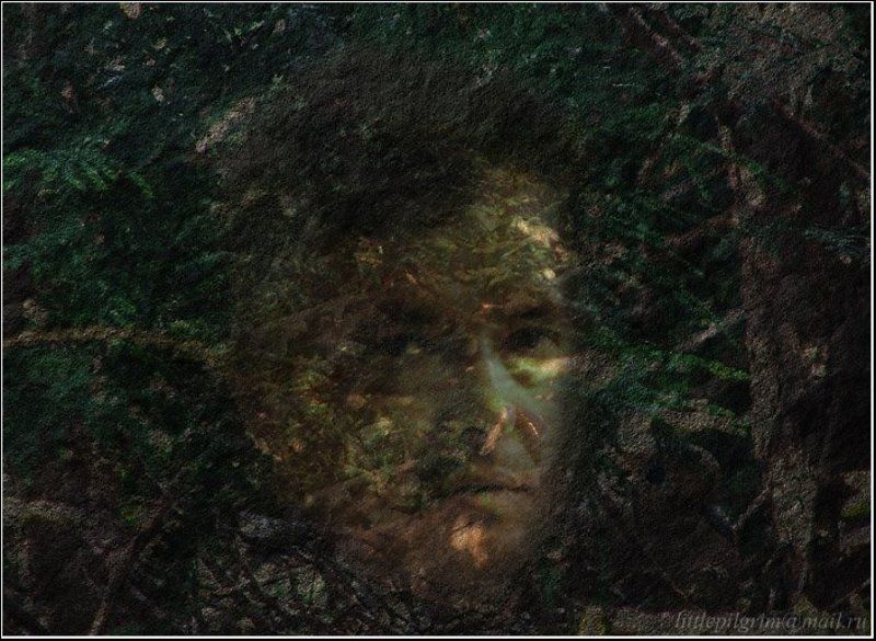 коллаж, монтаж, collage, montage, little pilgrim Земля фото превью