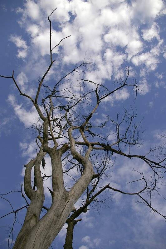 бренность всего сущего, Александр Абалихин