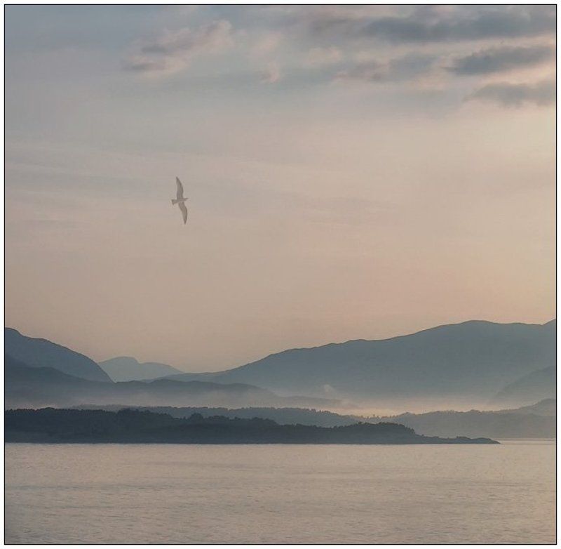 Ноктюрн фото превью