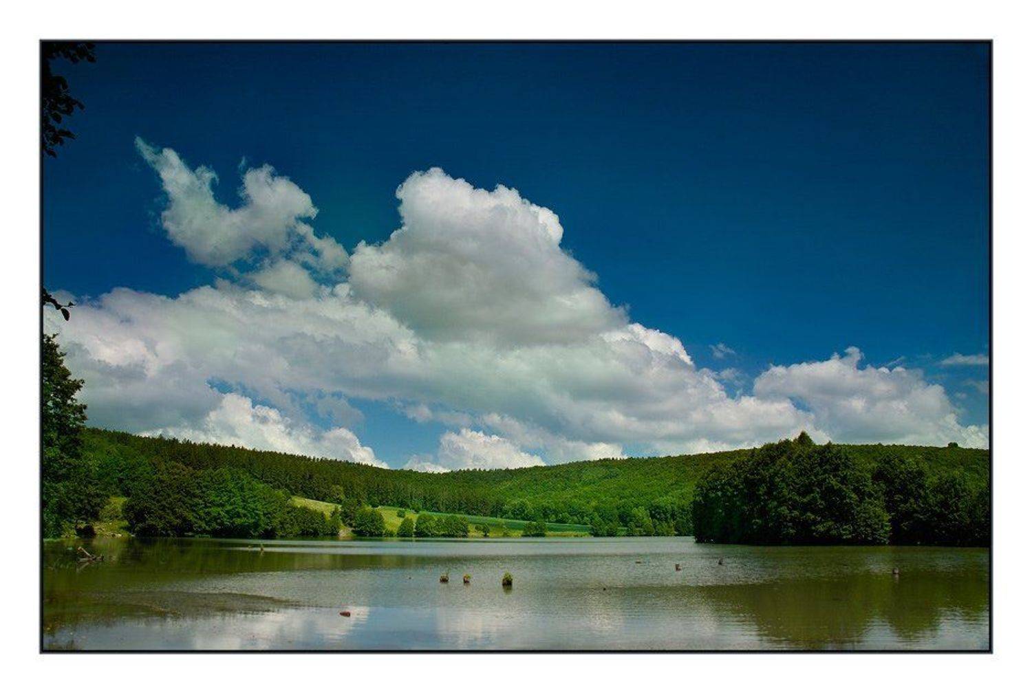 пейзаж, лето, озеро, лес, Капустин Николай