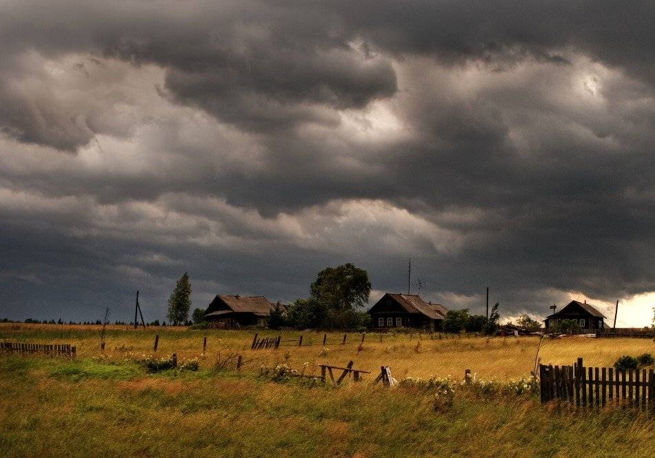 , Владимир Липецких