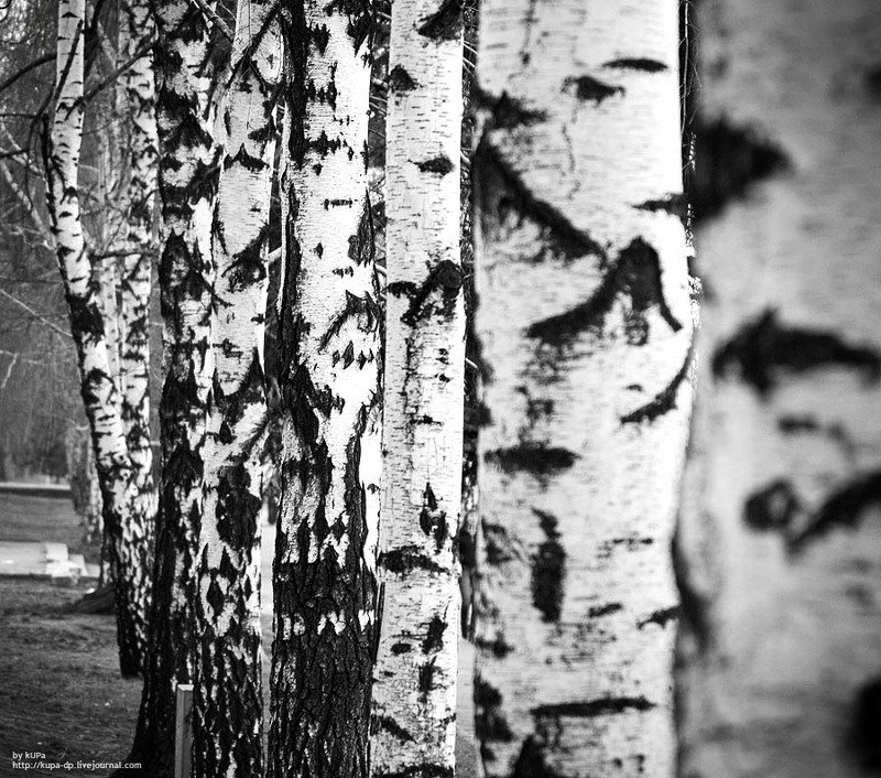 закат, город, небо  фото превью