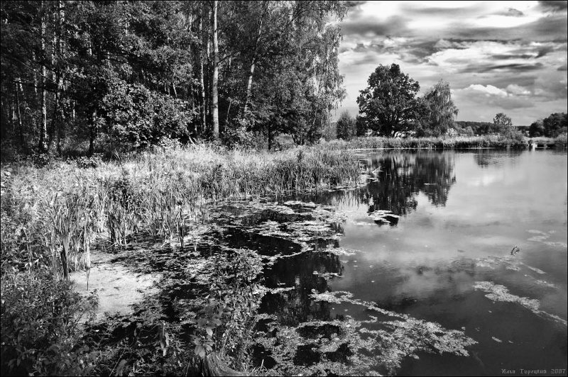 июль, пруд Июльская прудовая фото превью