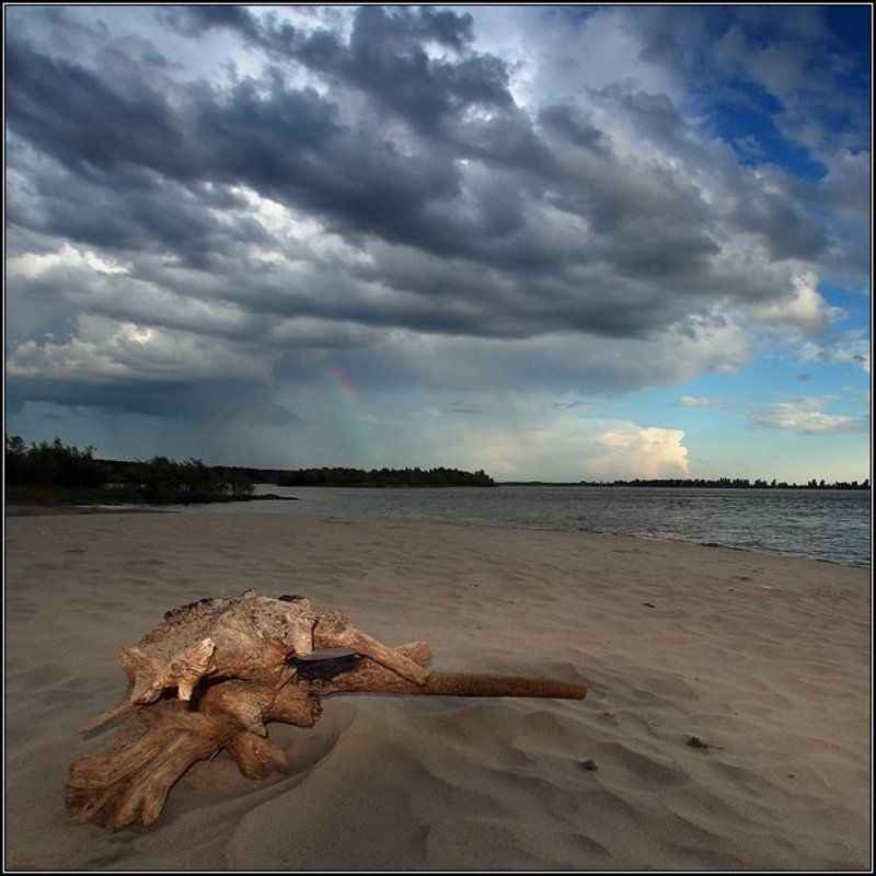 нсо, вечер, песок, радуга, туча, коряга, река, обь, бибиха, аня графова Вечерняя фото превью