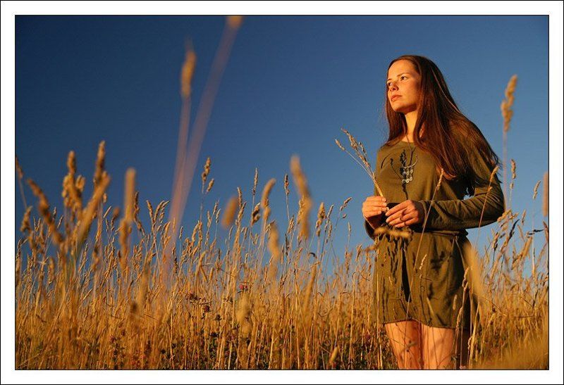 катю, портрет, девушка,закат, поле, лето Навстречу солнцу... фото превью