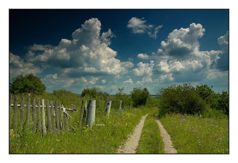 лето, дорога, небо Б/н фото превью