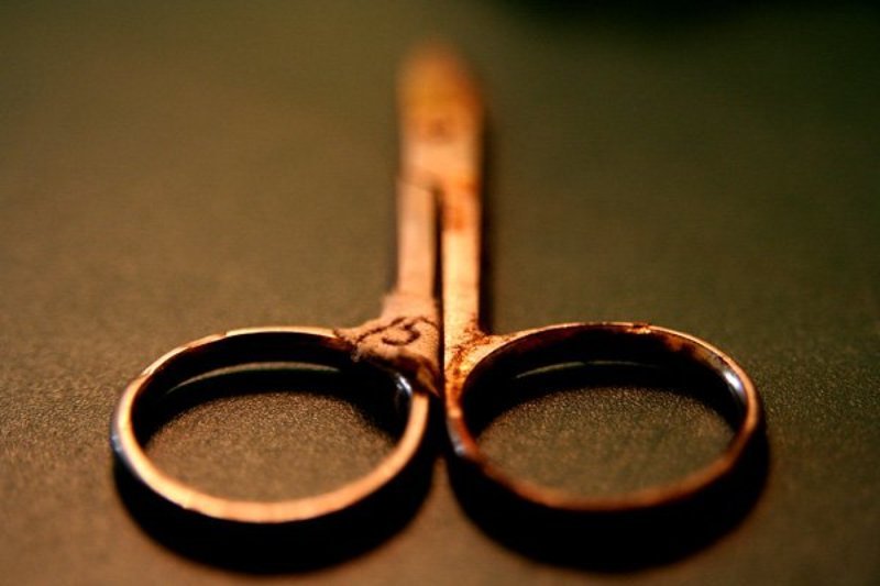 15 фото превью