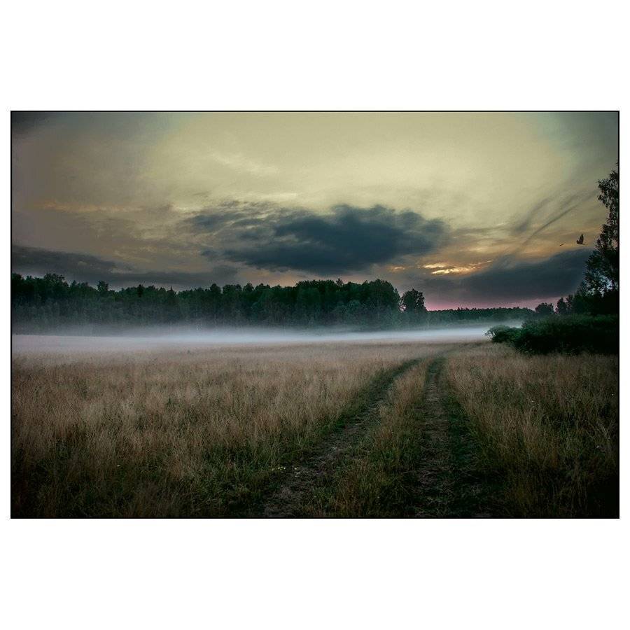 , Дмитрий Милосердов