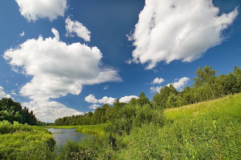 сясь,облака,лес,небо У речки. фото превью