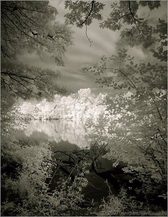 ик, пейзаж, infrared, инфракрасный, инфракрасное, pilgrim, Pilgrim