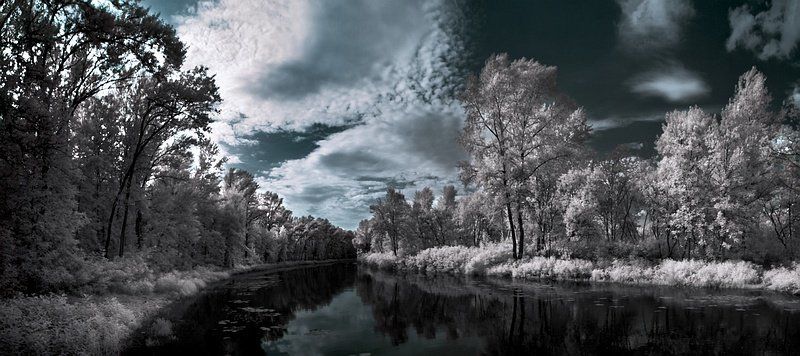 лето, ик, пейзаж летнее, инфракрасное... фото превью