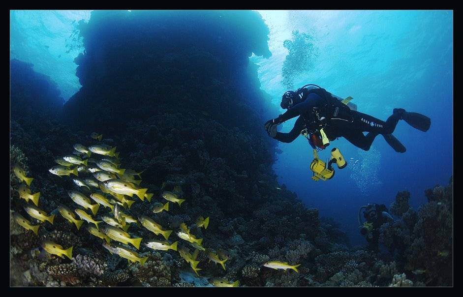 , Марина Кочетова