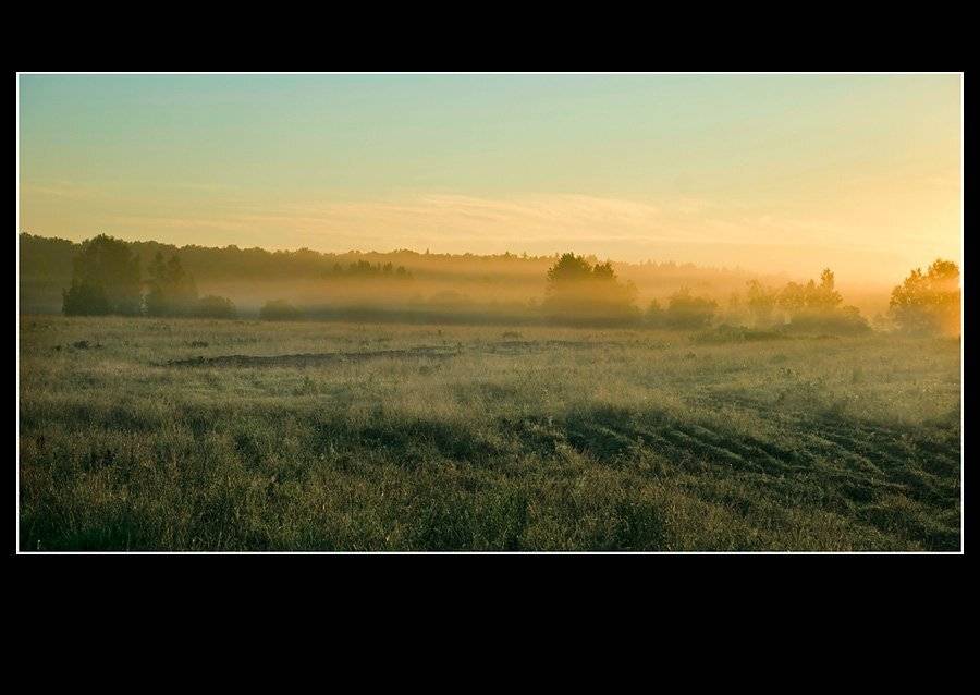 , Дмитрий Милосердов