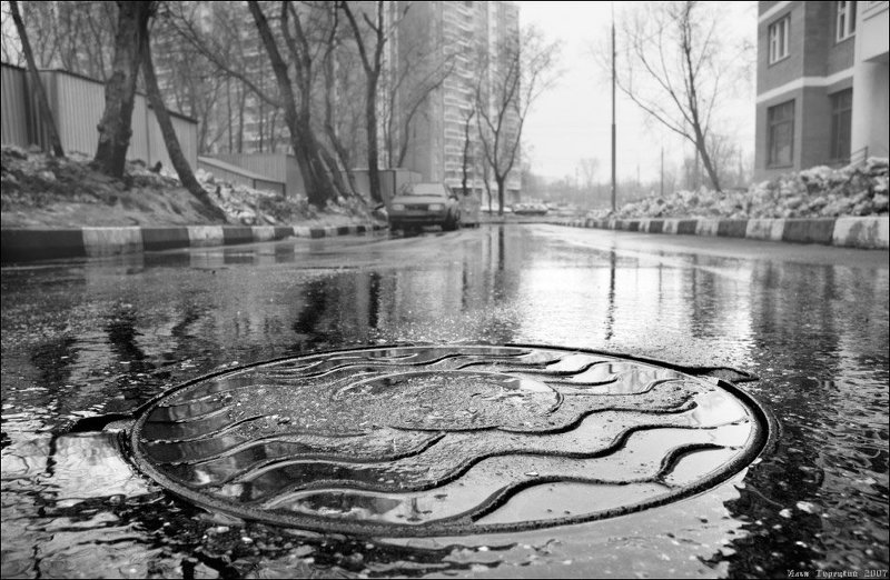 первый, дождь После первого дождя фото превью