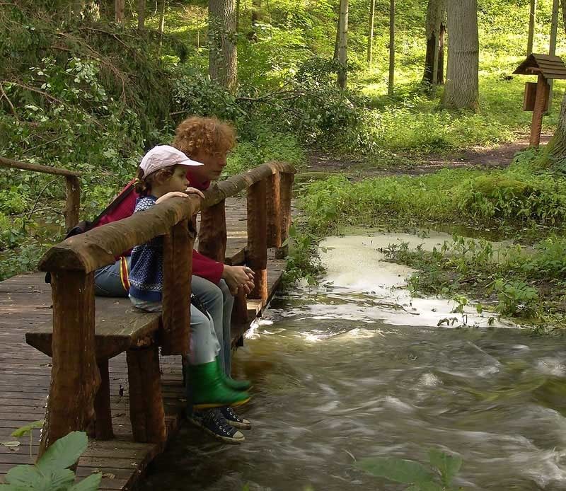В тени деревьев вековых мечтает каждый о своем... фото превью