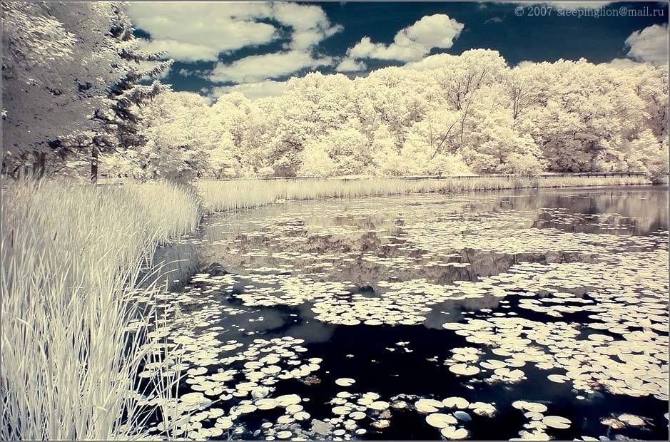 ик, пейзаж, infrared, инфракрасный, инфракрасное, pilgrim, Pilgrim