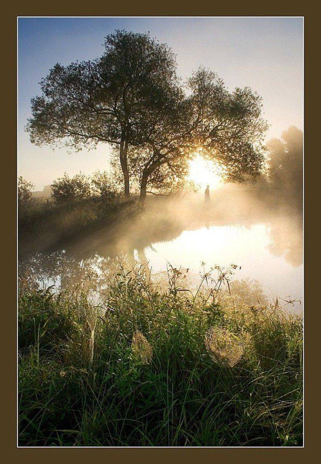 , Михаил Курцев