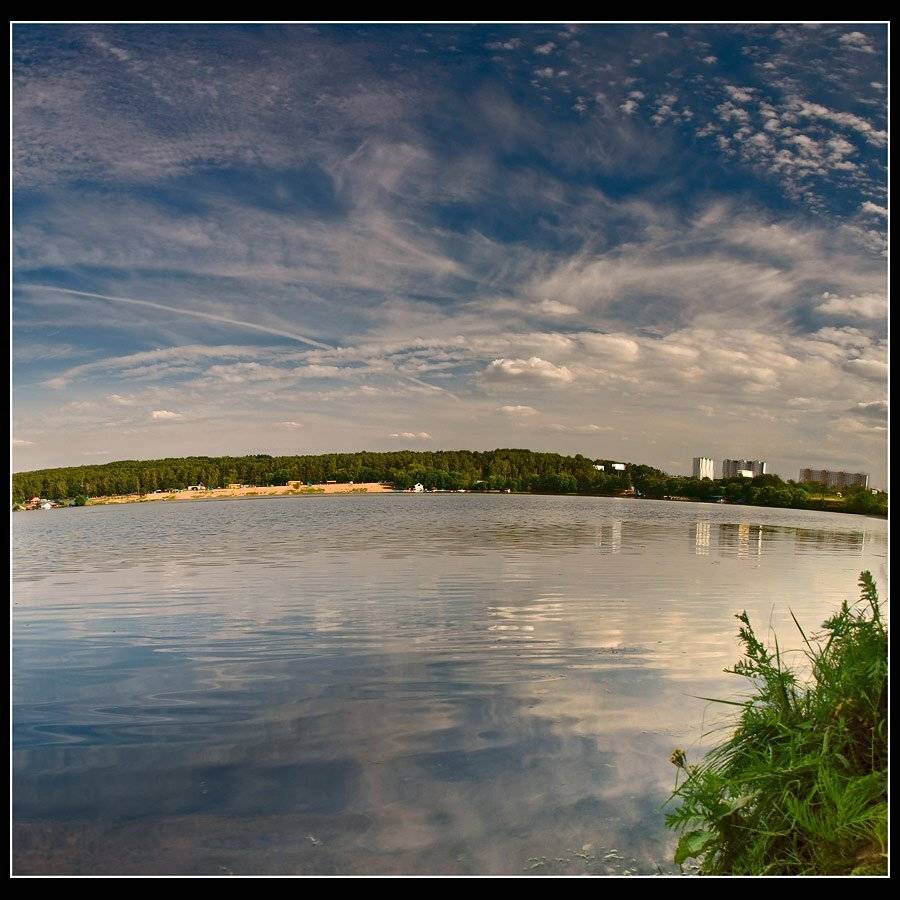 москва-река строгино, Дмитрий Милосердов