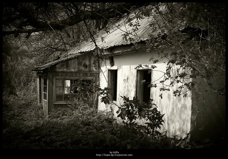 дом природа дача Заброшенный дом фото превью