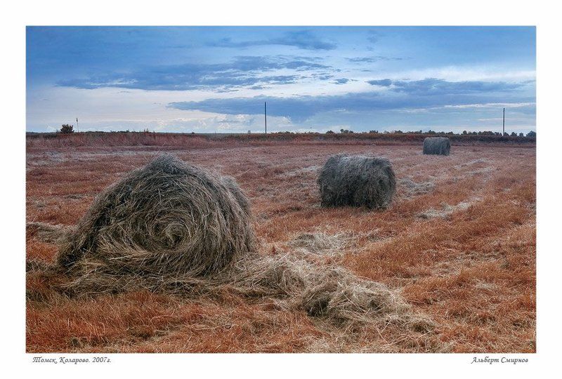 сибирь, томск, коларово, июль, 2007г. На полях... фото превью