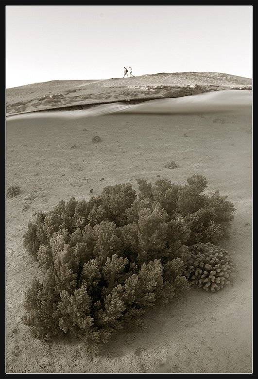 на гребне волны..., Torchuck