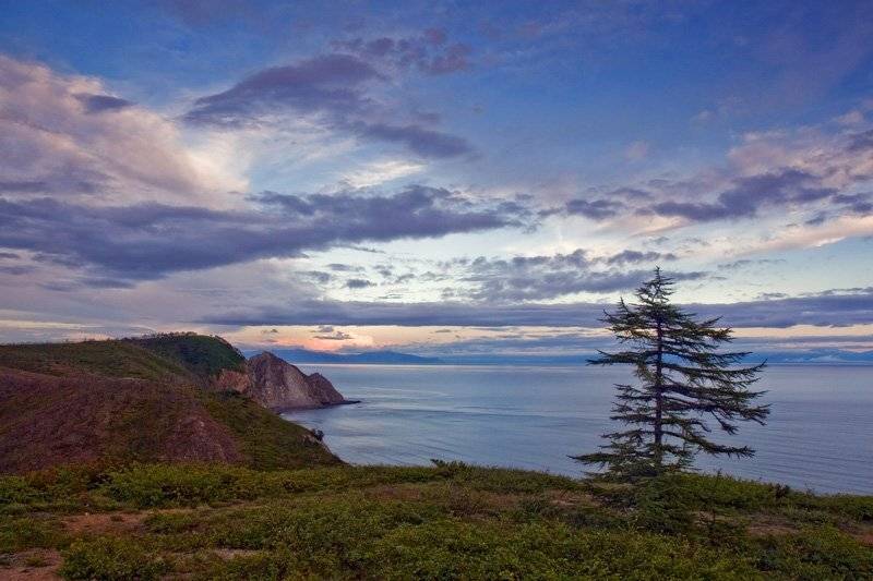 магадан, Sir Fisher