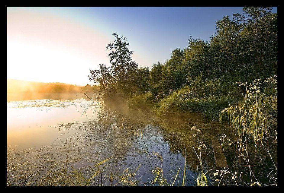 утро, туман, речка, Евгений Гаганов