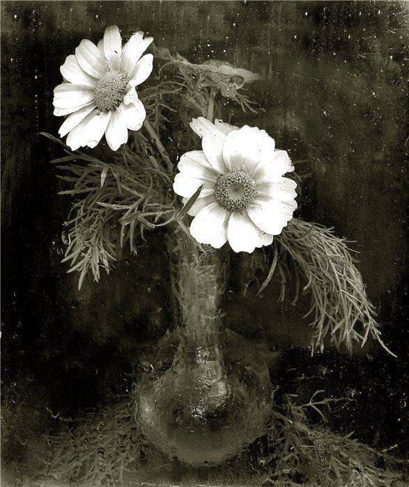 , Лариса Запатрина