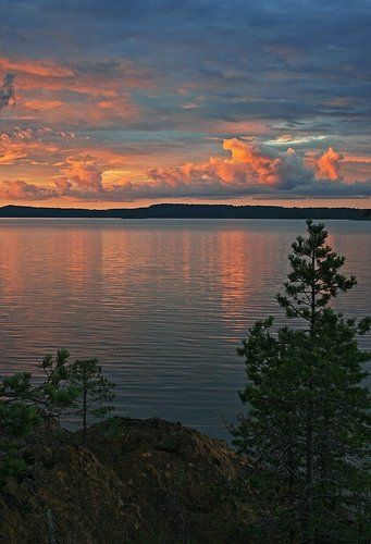 Вечер  в красном