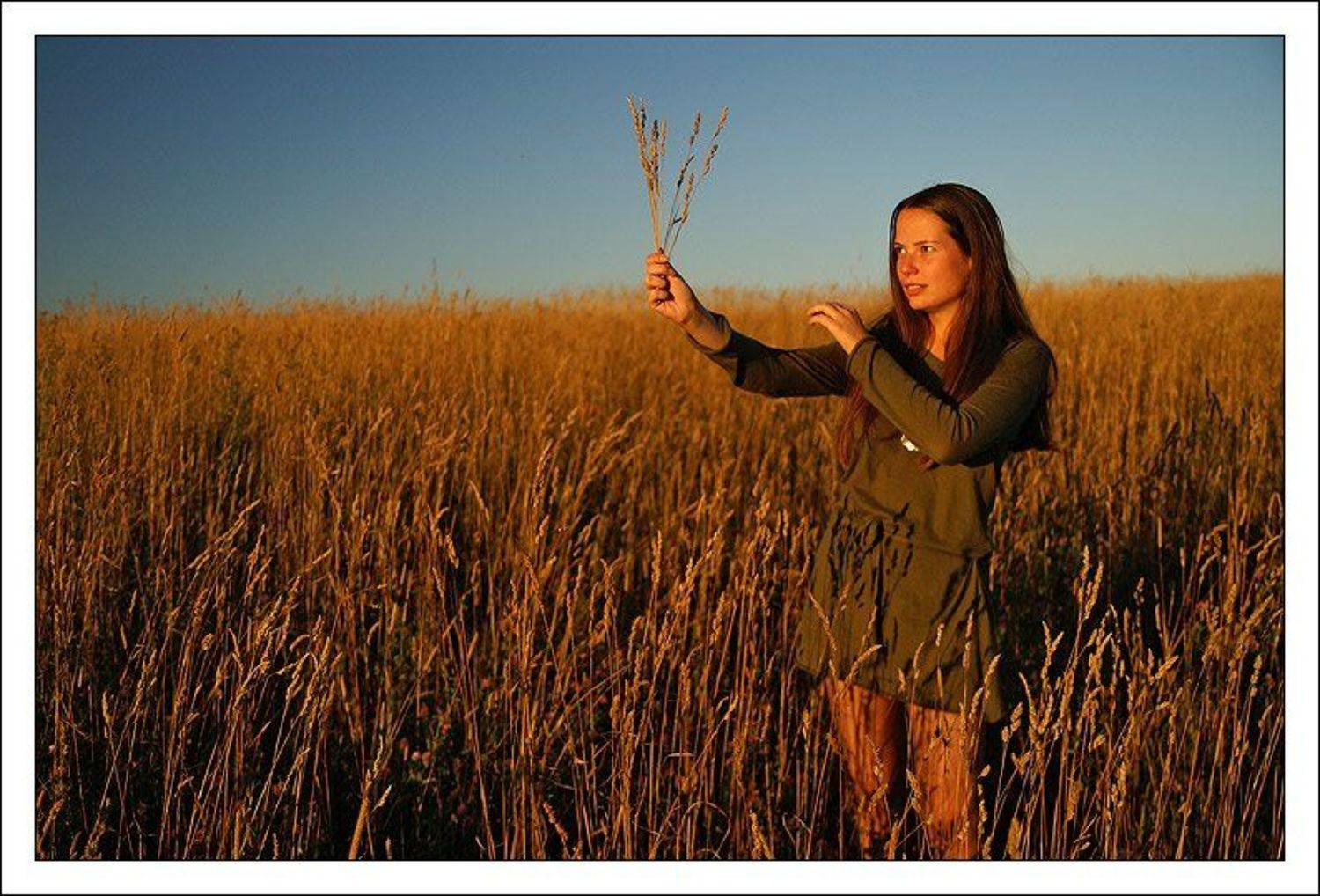 катю, портрет, девушка,закат, поле, лето, jouris