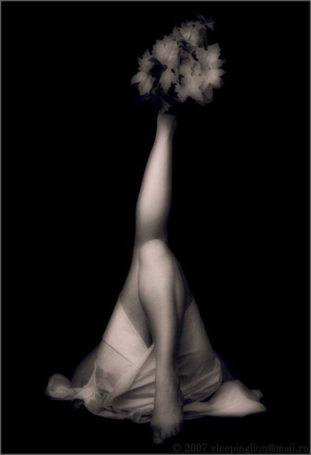 портрет женских ног, Pilgrim