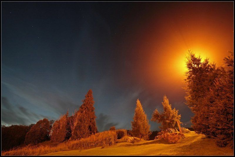 У старого кладбища  или  Медведица в полуночное пекло...... фото превью