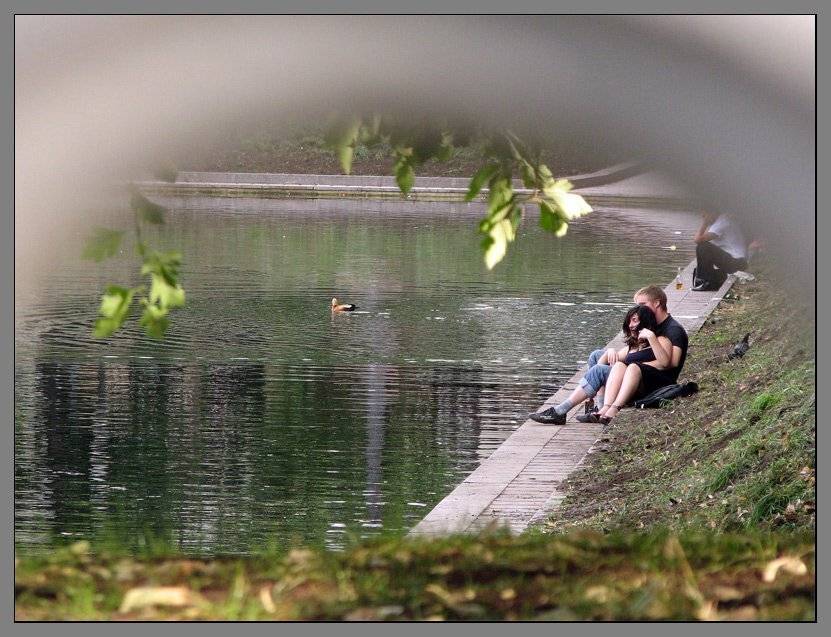 , Лунный Ежик